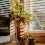 Tips for Creating a Relaxing Home Workspace